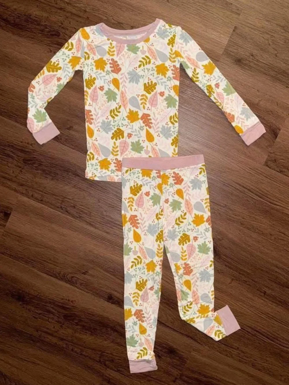 Little Sleepies Fall & Halloween PJ Sets (3-4T)